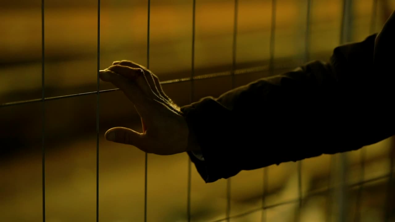 Stock Video Hand On A Wire Fence By Night Live Wallpaper For PC - Free Download