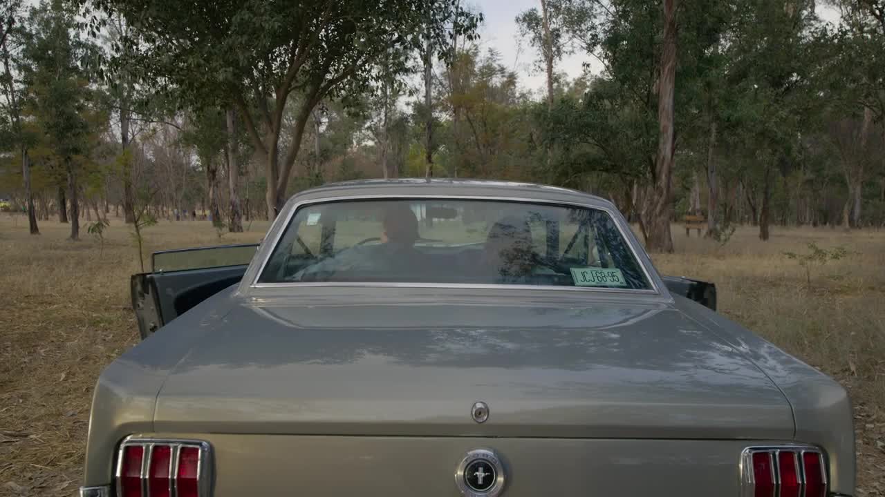 Stock Video Couple Appreciating A Forest On A Road Trip Live Wallpaper For PC - Free Download