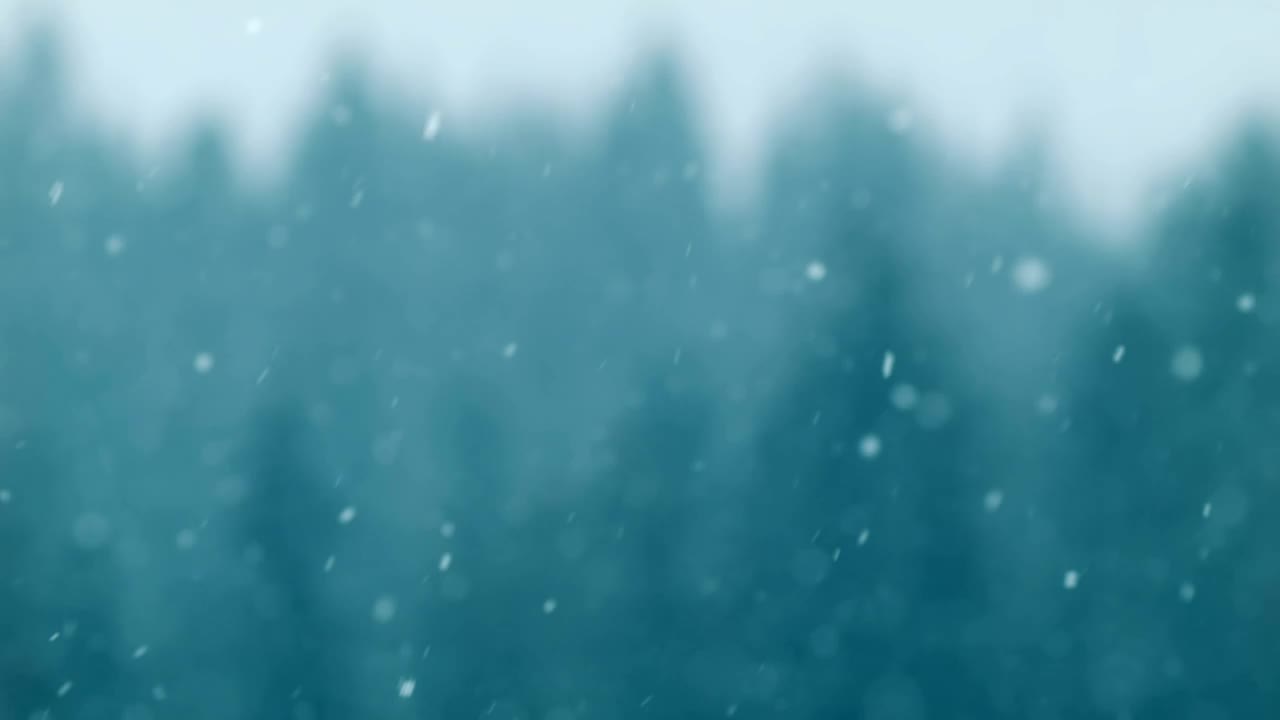 Free Video Stock Snow Falling With An Unfocused Background Live Wallpaper - Free Download