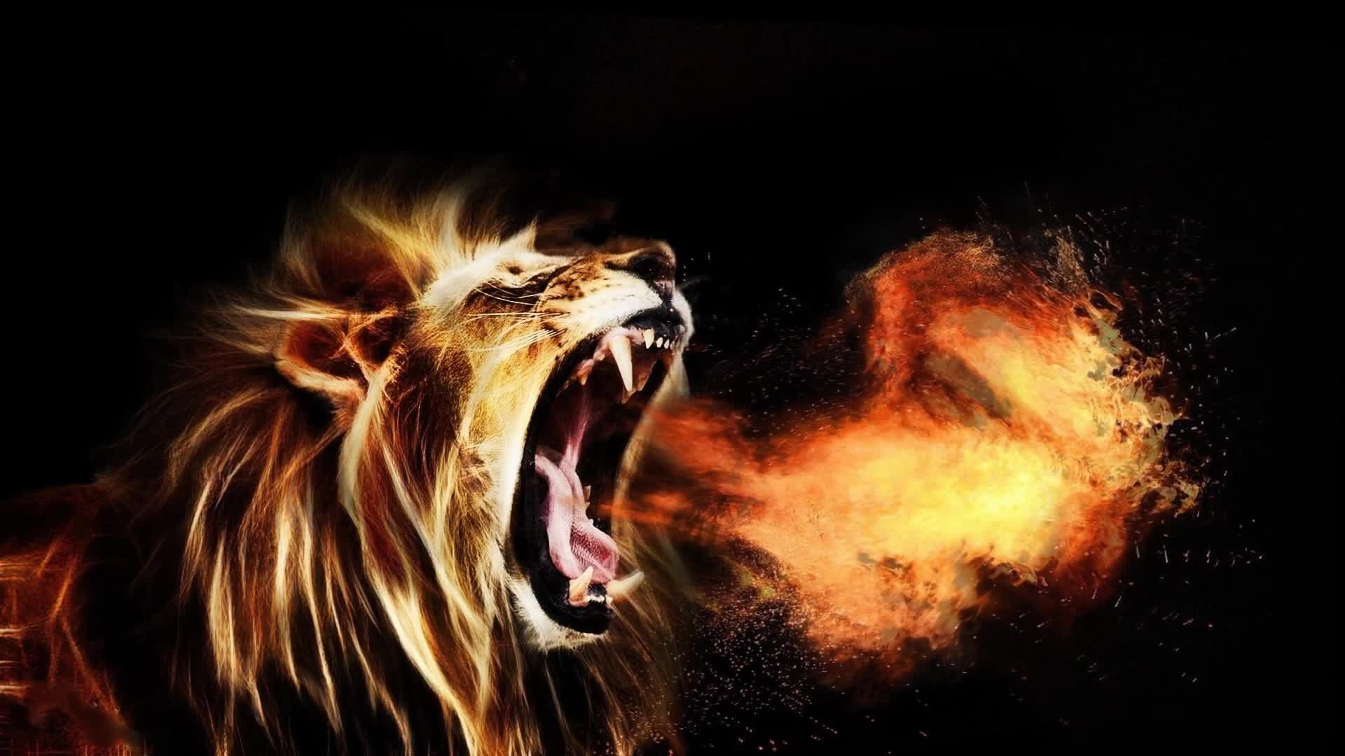 Roaring  Lions  Fire  Fantasy  Live  Wallpaper - Free Download