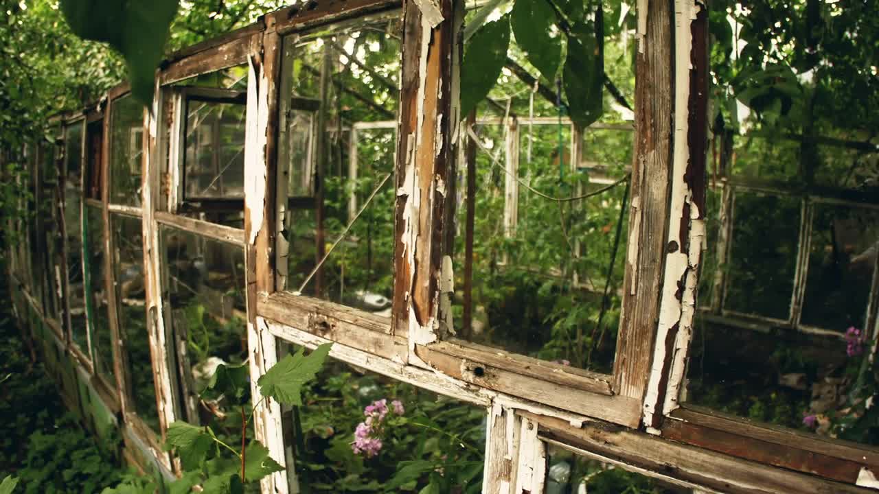 Stock Video Frame Of An Old Greenhouse Live Wallpaper For PC - Free Download