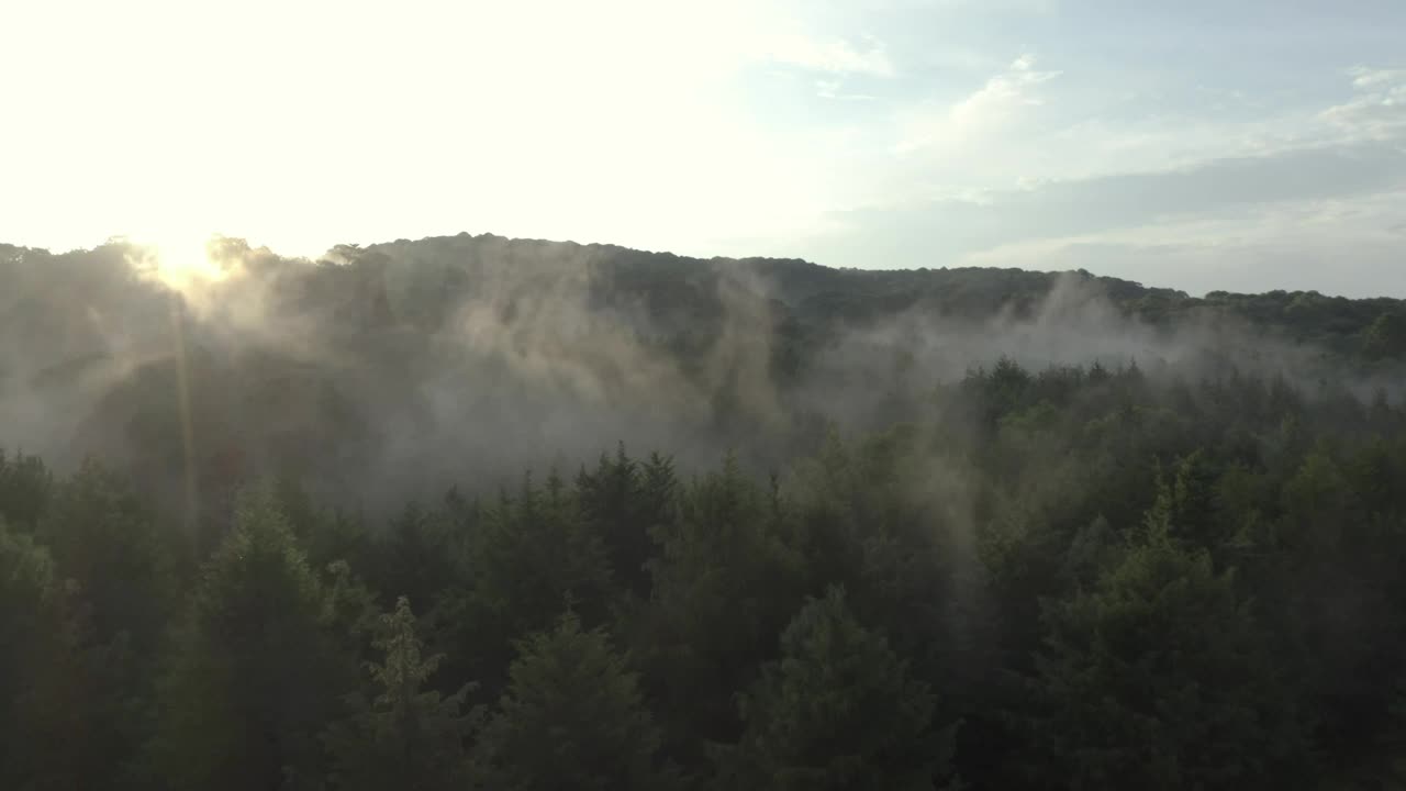 Stock Video Forest Covered By Mist At Sunrise From The Heights Live Wallpaper For PC - Free Download