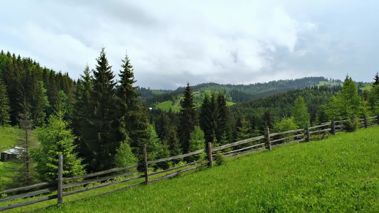 Stock Video Green Forest Near A Farm Live Wallpaper For PC - Free Download