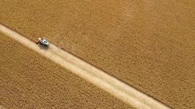 Stock Video Harvesting Large Fields Of Crops Smal Animated Wallpaper - Free Download