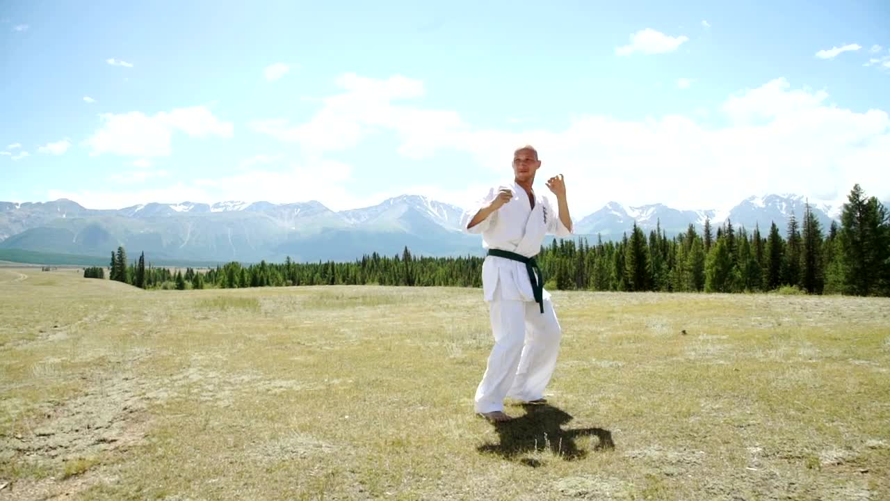Stock Video Karate Black Belt High Kick With Outdoor Landscape Animated Wallpaper - Free Download