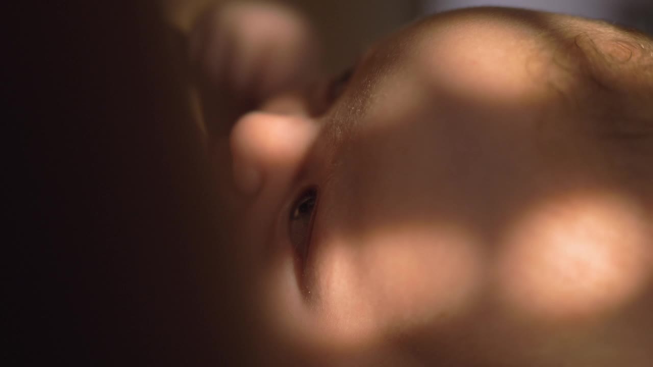 Stock Video Mother Feeding Her Young Chil Animated Wallpaper - Free Download