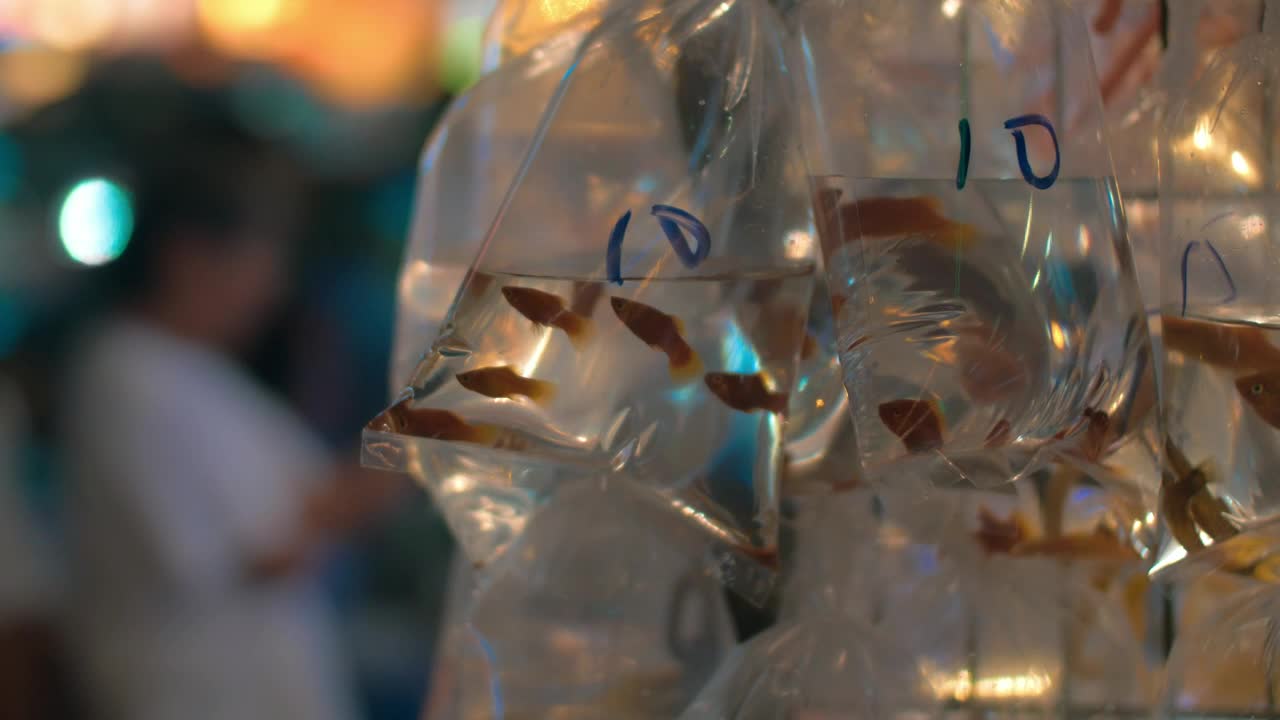 Stock Video Fish For Sale At A Market Stall Live Wallpaper For PC - Free Download