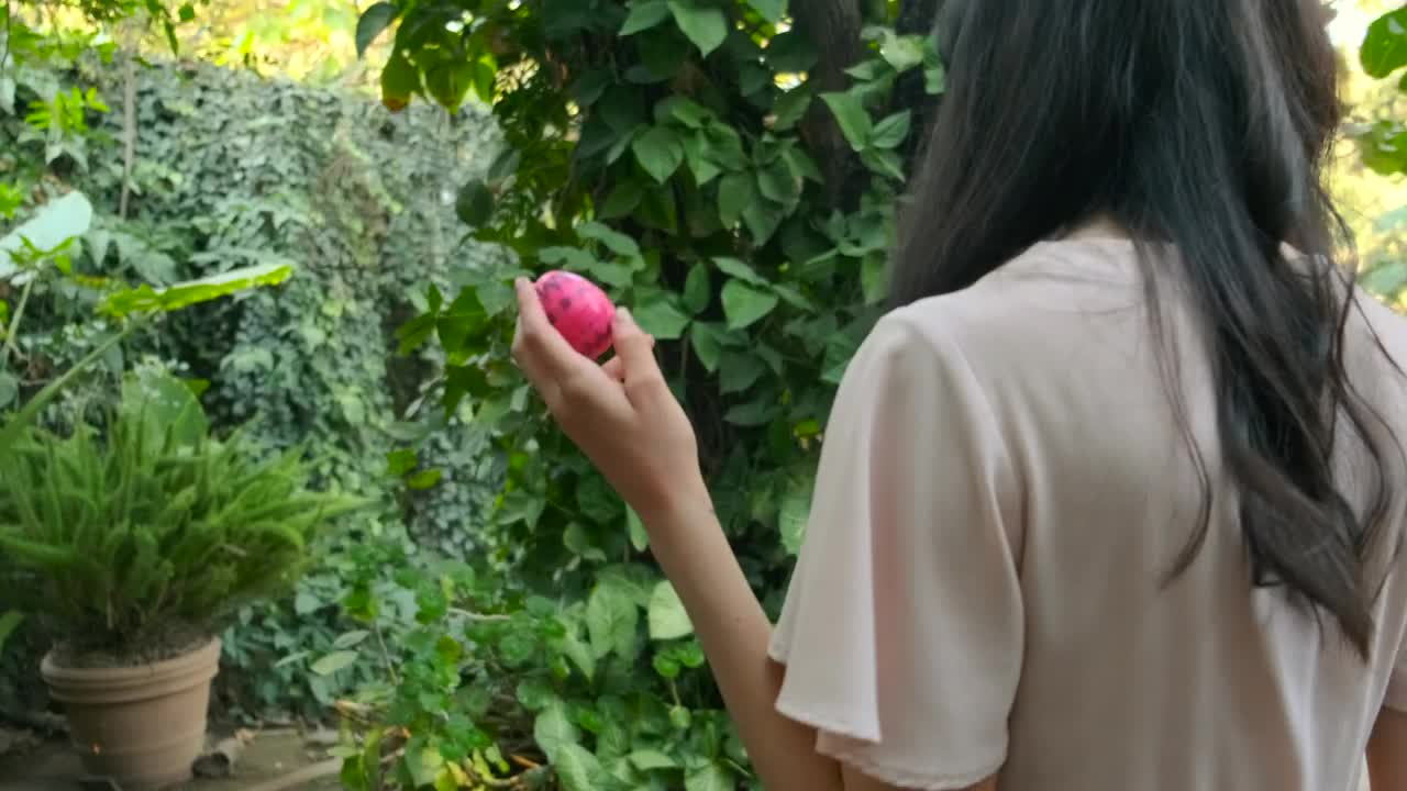 Stock Video Mom Hiding An Easter Eg Animated Wallpaper - Free Download