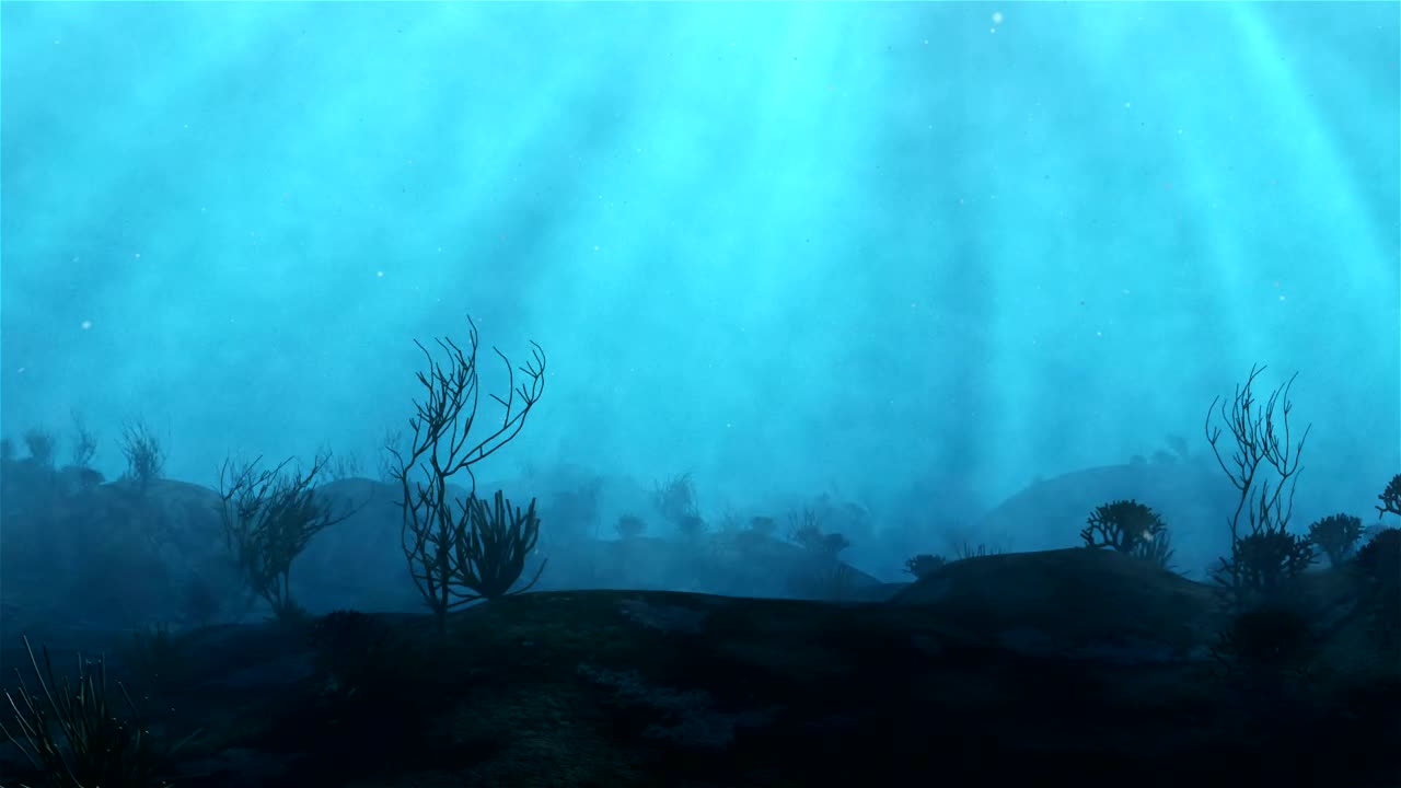 Stock Video Diving Through A Reef Live Wallpaper For PC - Free Download