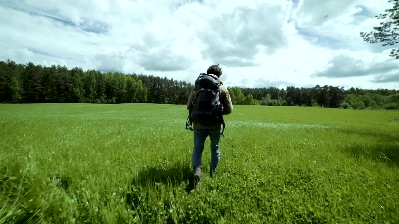 Stock Video Explorer Walking In A Green Meadow Live Wallpaper For PC - Free Download