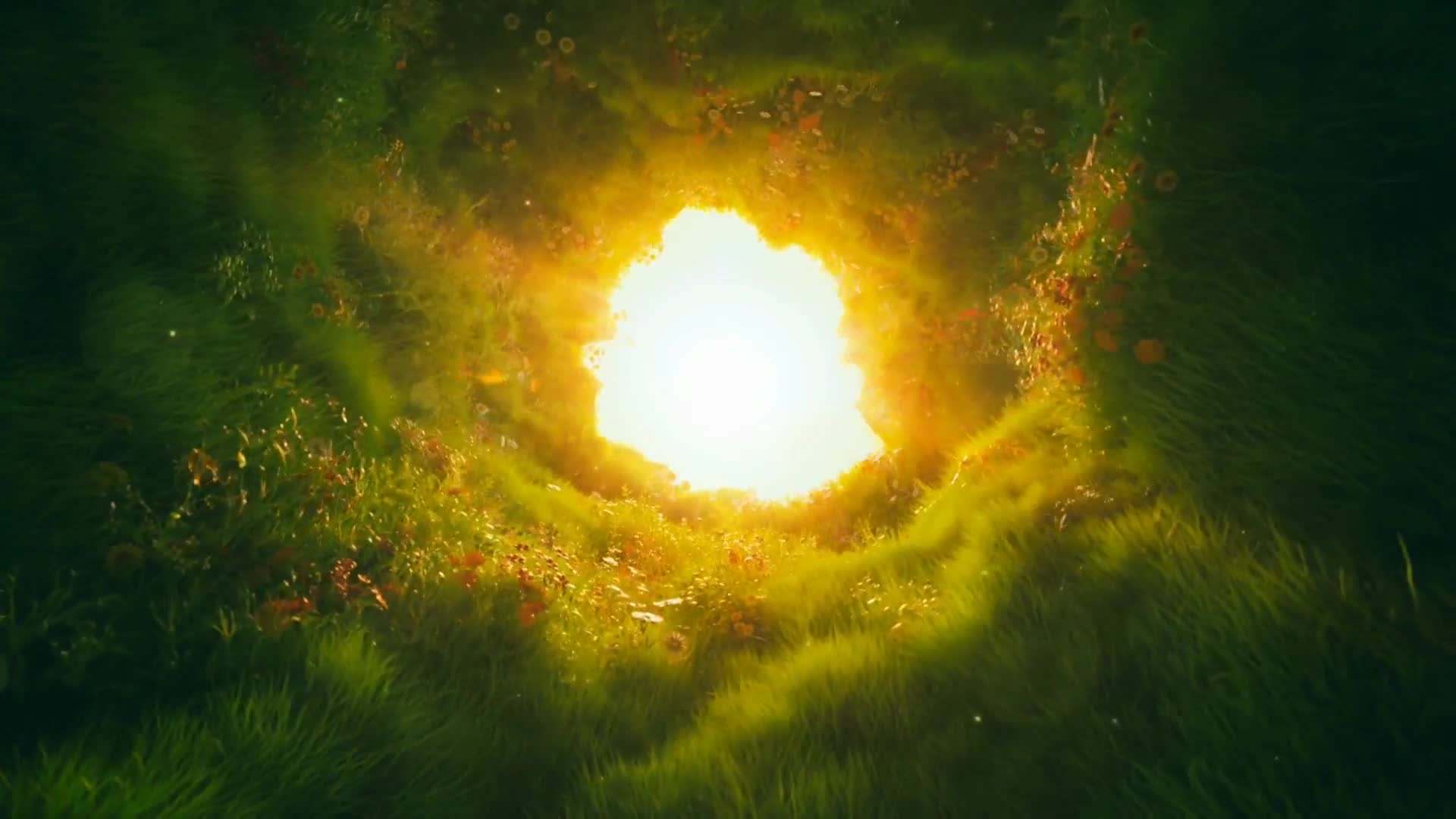 Holy Hole Live Video Wallpaper HD - Free Download