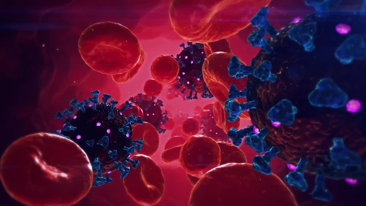 Stock Video Coronavirus In The Blood Stream Live Wallpaper For PC - Free Download