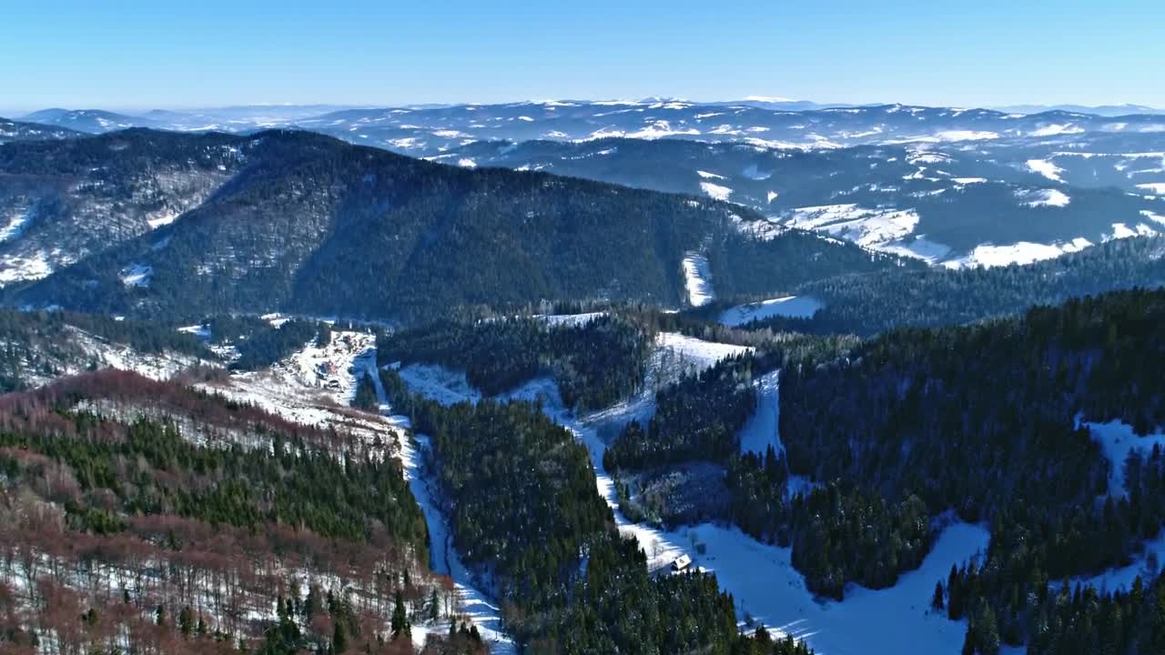 Stock Video Beautiful Aerial Landscape Of Winter Forests Live Wallpaper For PC - Free Download