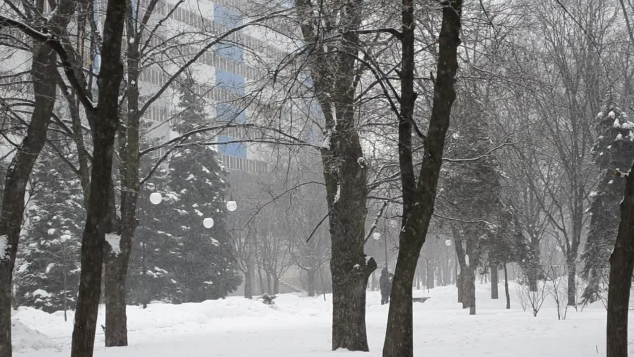 Stock Video Heavy Snowfall In A City Park Animated Wallpaper - Free Download