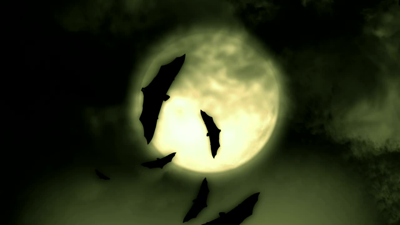 Free Stock Video Silhouettes Of Bats Flying Under The Full Moon Live Wallpaper - Free Download