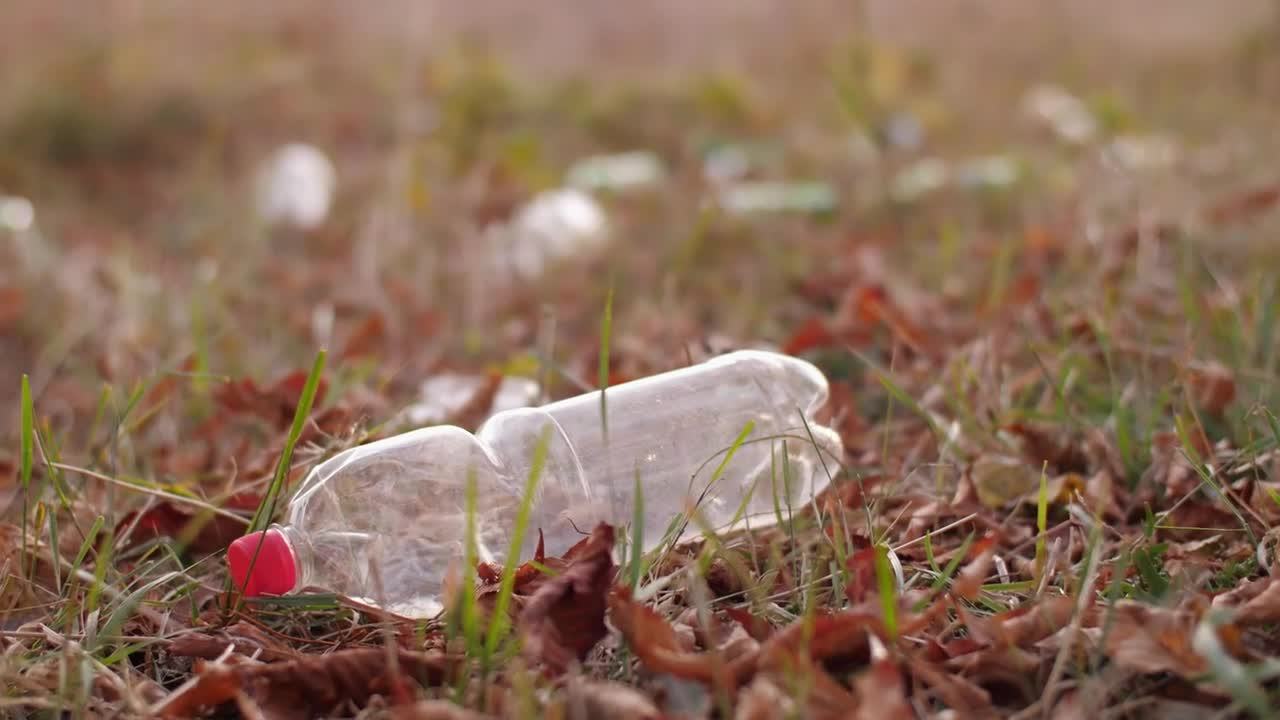 Free Stock Video Woman Lifts An Empty Bottle Off The Ground Live Wallpaper - Free Download