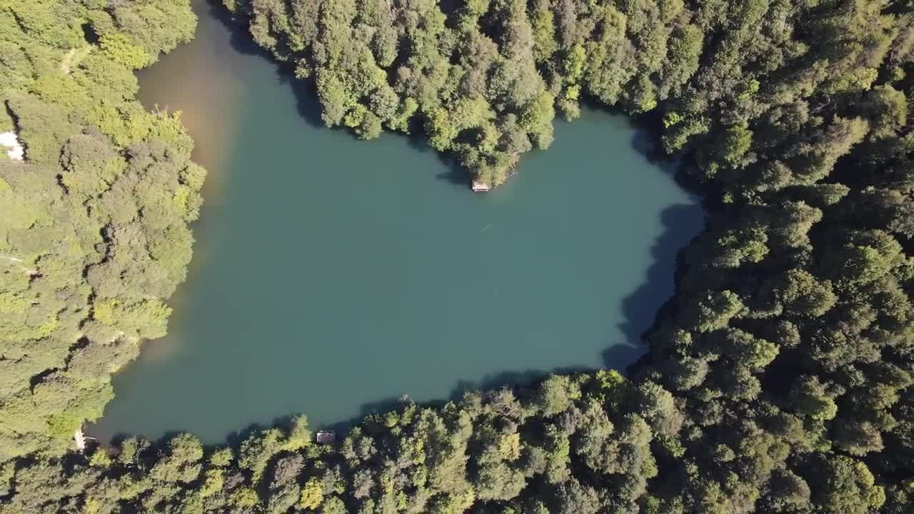 Free Video Stock top aerial shot of a lake among trees in a Live Wallpaper - Free Download
