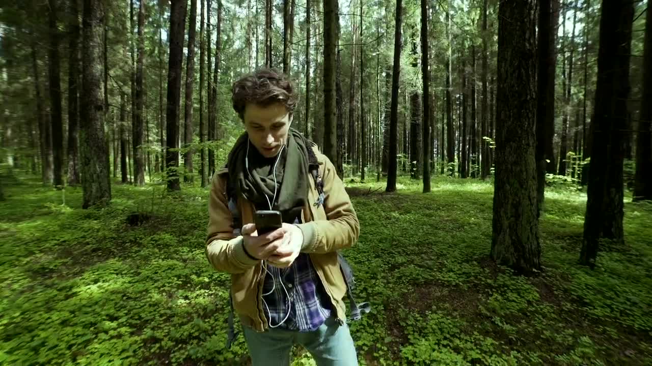 Stock Footage Video Call In The Woods Live Wallpaper - Free Download