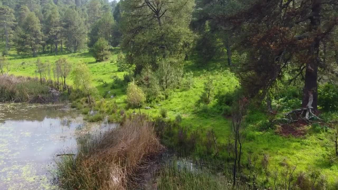 Free Video Stock touring a lake in nature from the top Live Wallpaper - Free Download