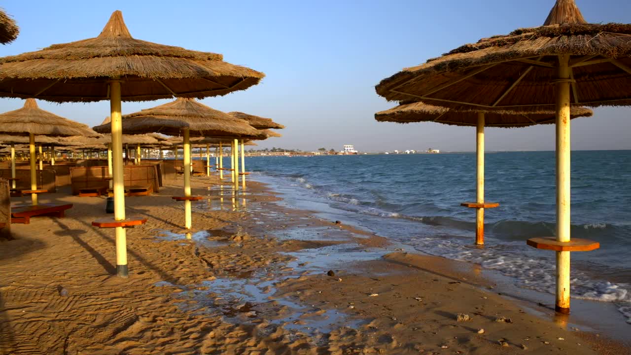 Stock Video Coastal Resort Umbrellas Live Wallpaper For PC - Free Download