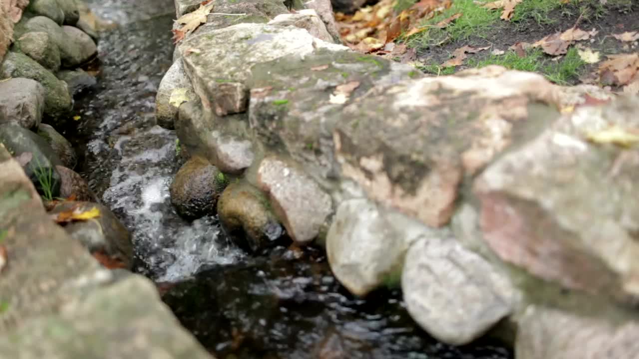 Free Video Stock tiny garden stream flowing Live Wallpaper - Free Download