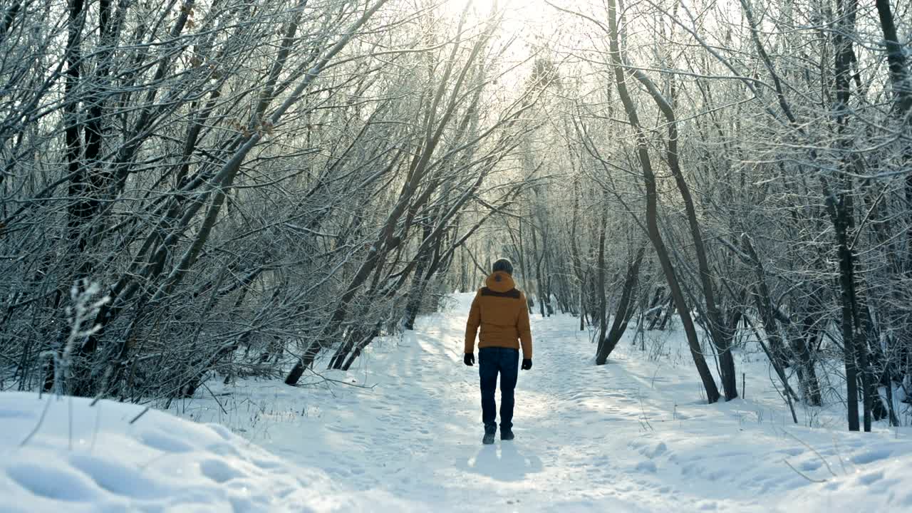 Stock Video Man In A Snowy Forest Greets The Camera Animated Wallpaper - Free Download
