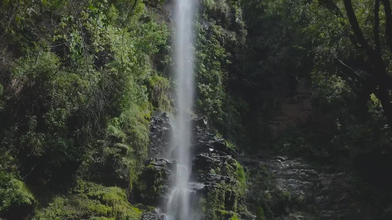 Stock Footage Waterfall In Woods Live Wallpaper - Free Download