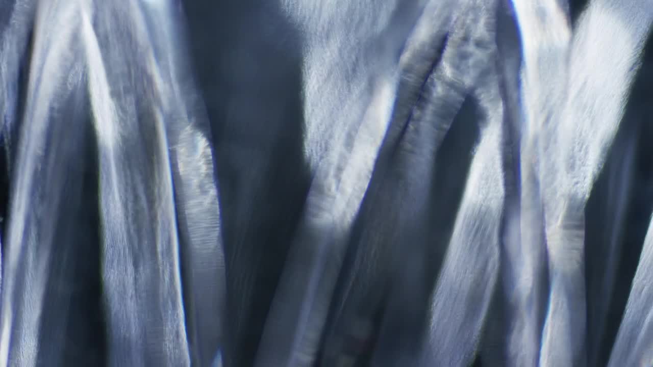 Stock Video Defused Light Shapes In Motion Live Wallpaper For PC - Free Download