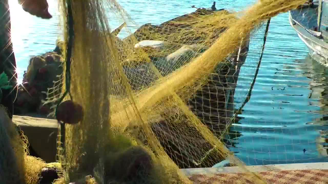 Stock Video Fishermen Collecting A Fishing Net Live Wallpaper For PC - Free Download