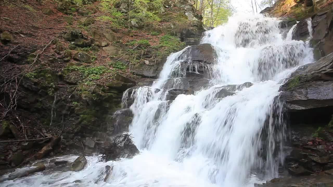 Stock Footage Waterfall On The Rocks At A Forest Live Wallpaper - Free Download