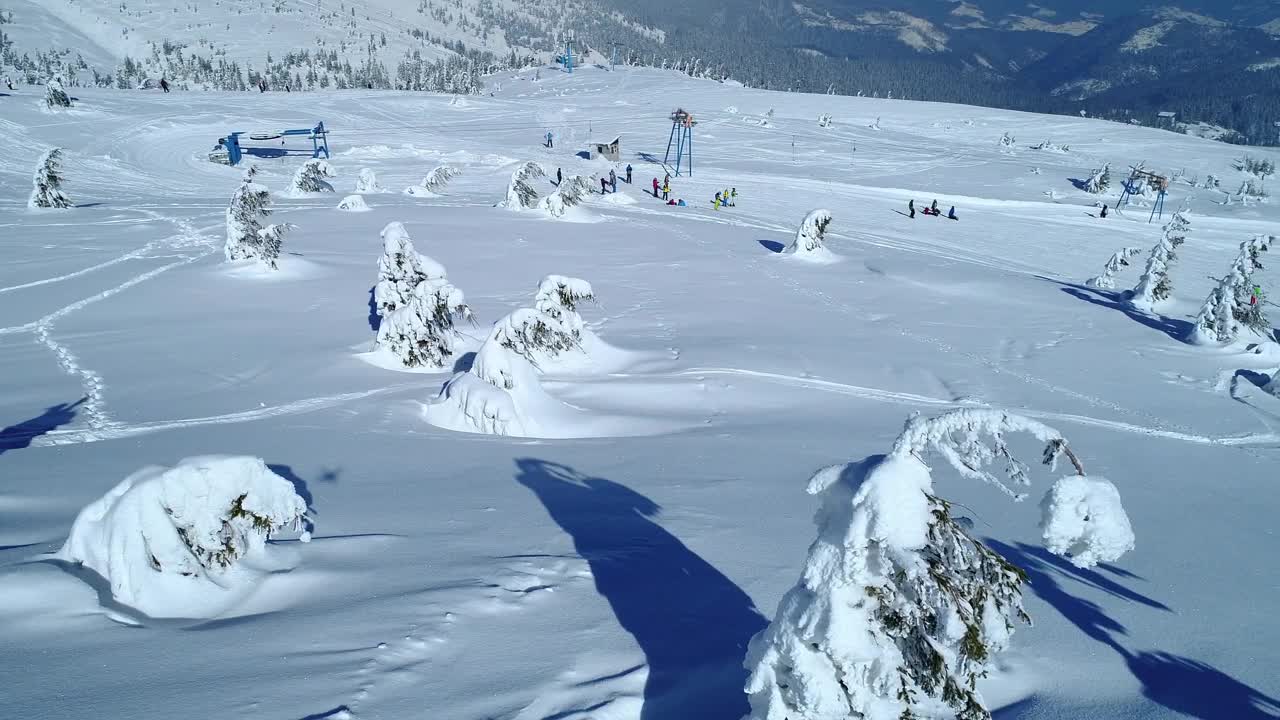 Stock Video Frozen Pine Trees Filled With Snow Near A Ski Area Live Wallpaper For PC - Free Download