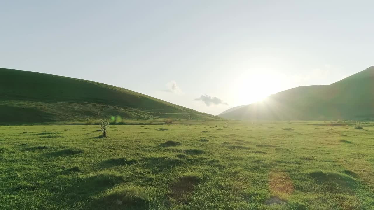 Stock Video Golden Sunshine Over A Meadow Live Wallpaper For PC - Free Download