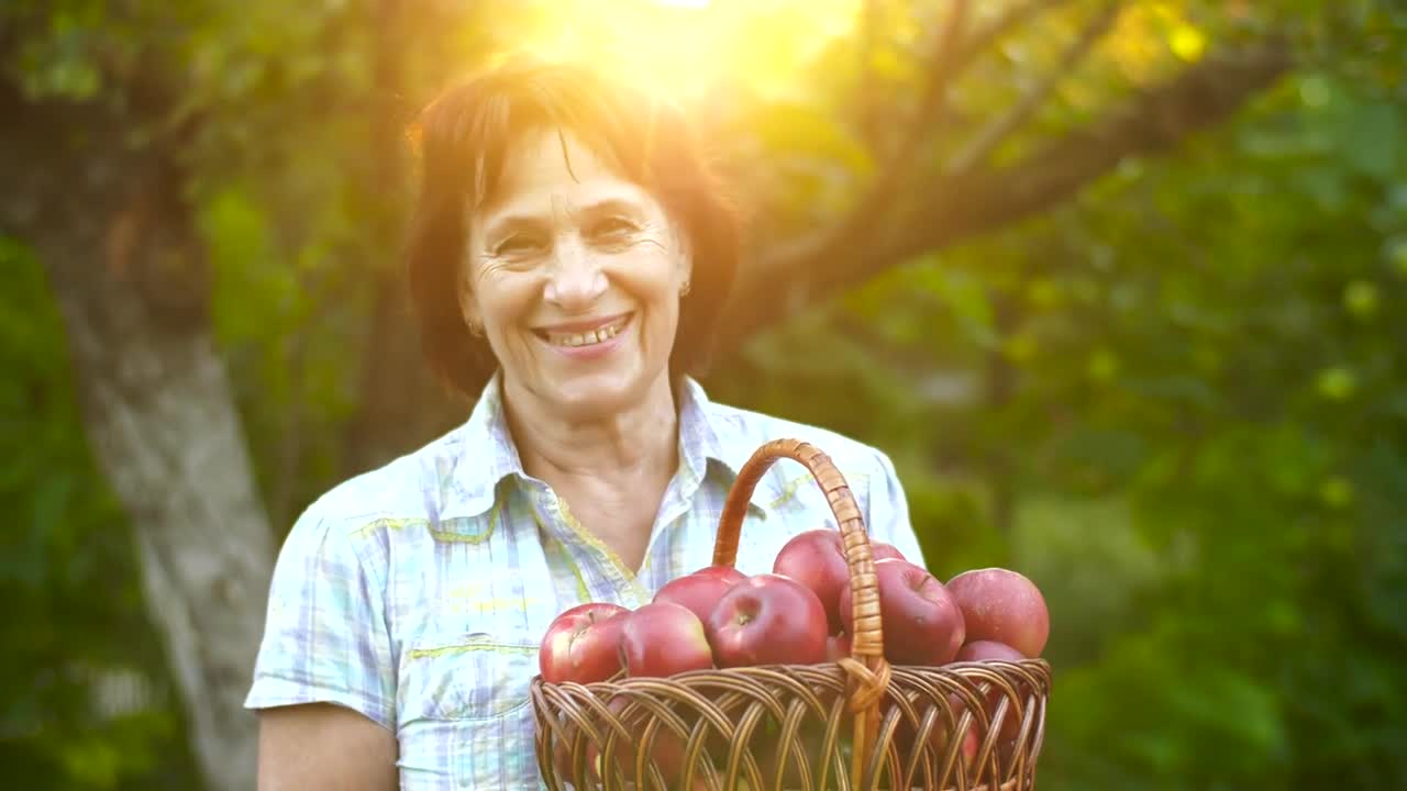 Stock Video Old Rancher Woman Holding A Basket With Apples Live Wallpaper - Free Download