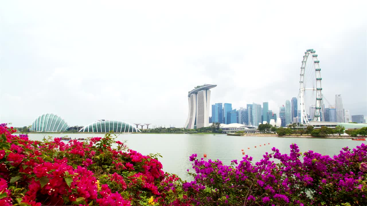 Free Stock Video Singapore Cityscape And Flowers Live Wallpaper - Free Download