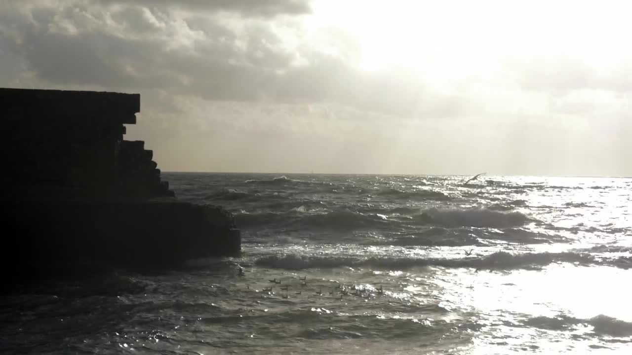 Stock Footage Waves Breaking As Birds Fly Over Live Wallpaper - Free Download