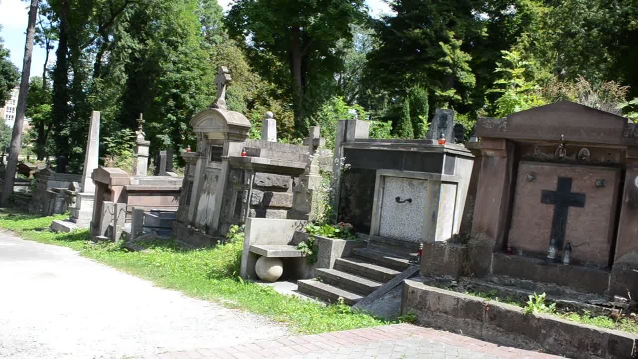 Stock Video Old Cemetery In A Forest Live Wallpaper - Free Download
