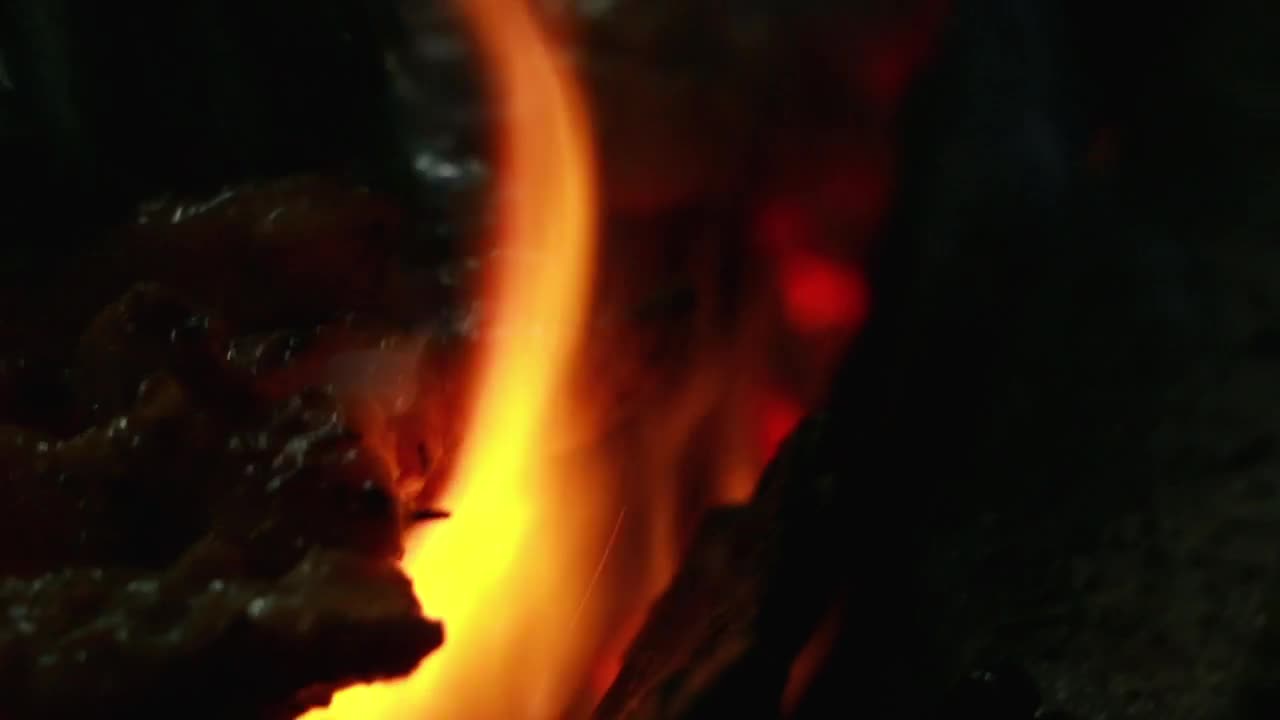 Stock Video Grilling Meat Over Coals Live Wallpaper For PC - Free Download