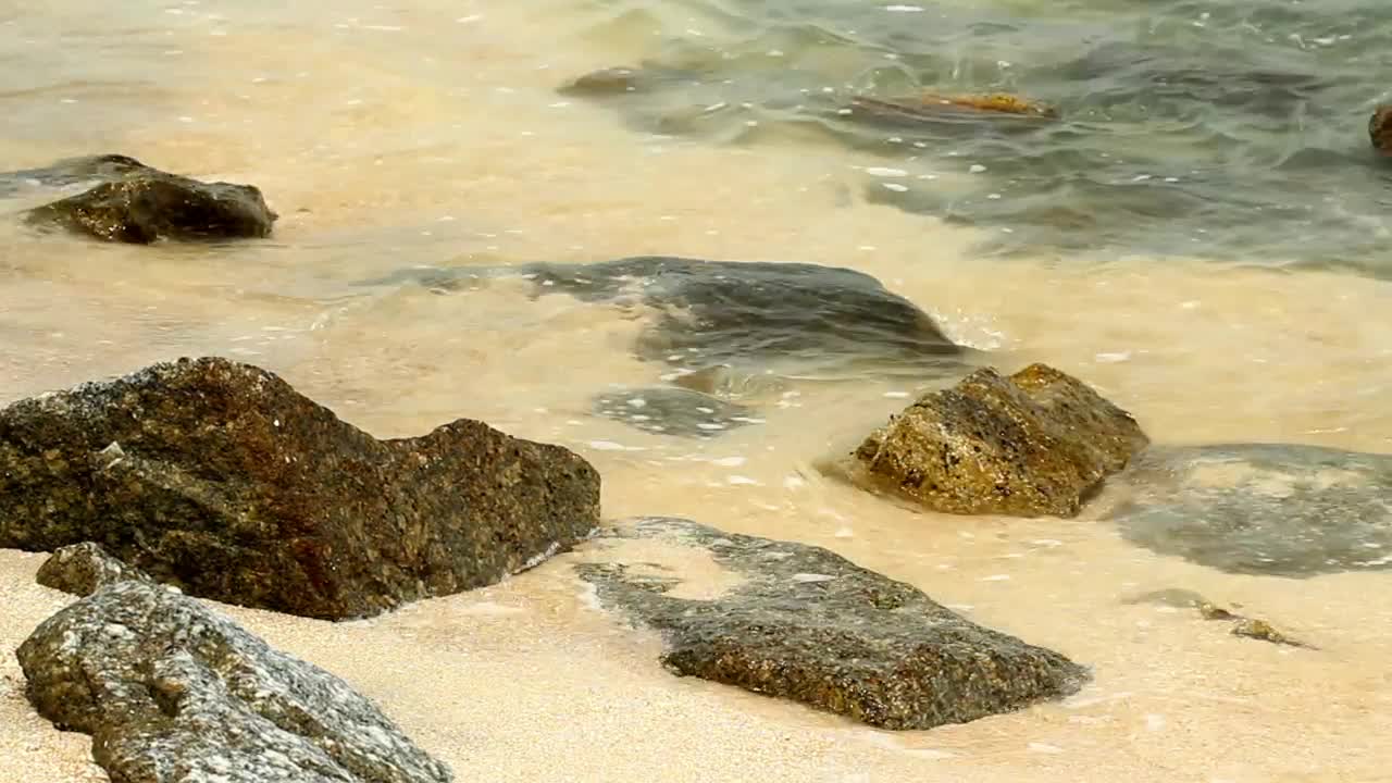 Stock Video Cool Waves On A Hot Day Live Wallpaper For PC - Free Download