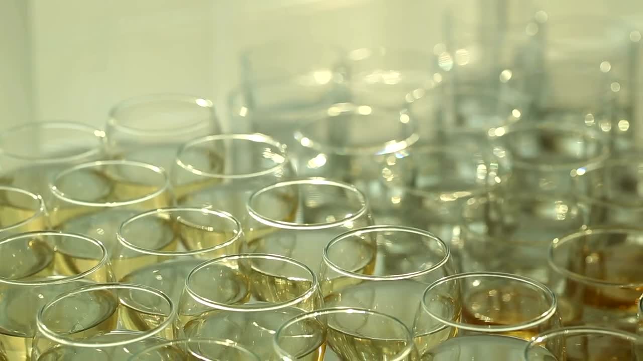 Free Stock Video Wine Glasses With Champagne Live Wallpaper - Free Download