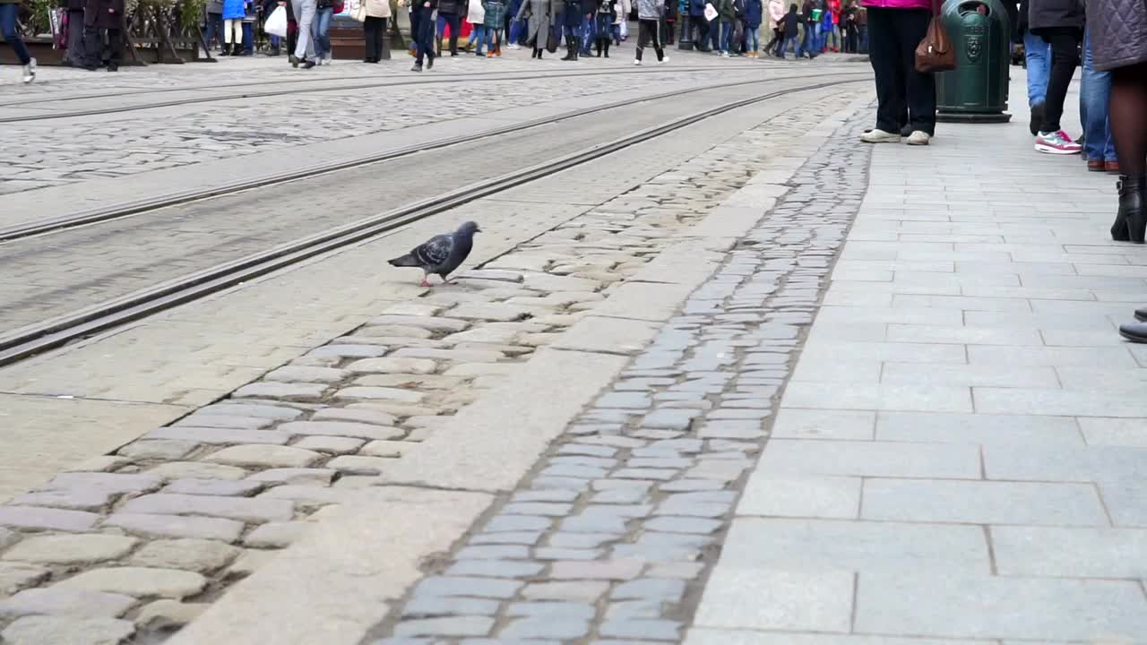 Stock Video People Get Down From The Tram Live Wallpaper - Free Download
