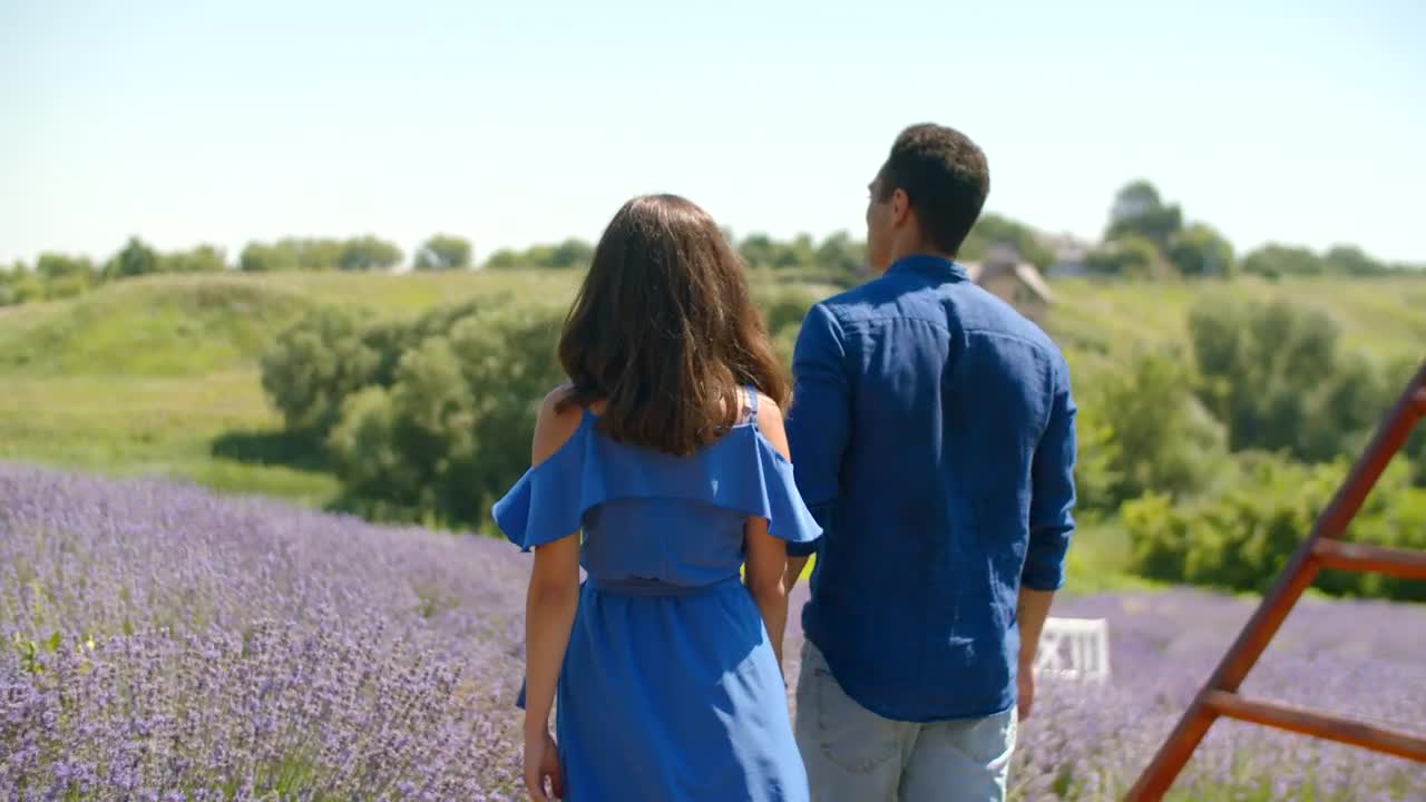 Stock Video Lovers Walking Through A Lavender Field Animated Wallpaper - Free Download