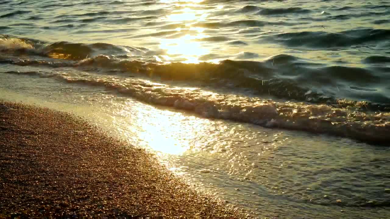 Free Video Stock Sun Reflections And Gentle Waves In The Beach Live Wallpaper - Free Download