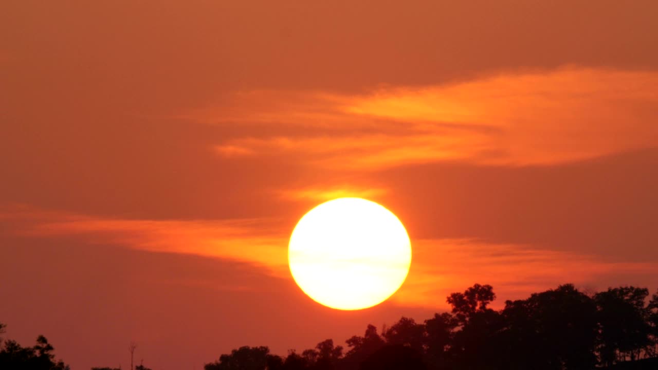 Free Video Stock the sun goes down behind a tree line Live Wallpaper - Free Download