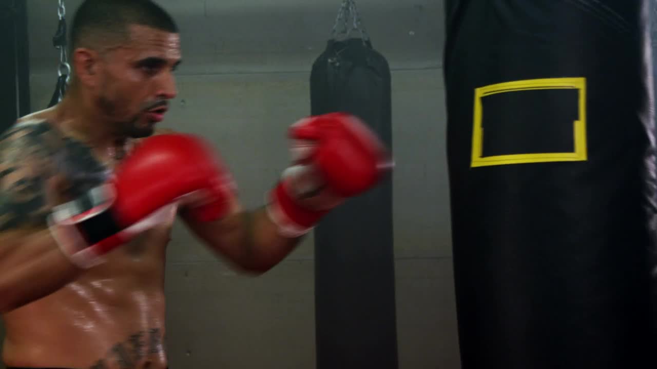 Free Video Stock training for a fight Live Wallpaper - Free Download