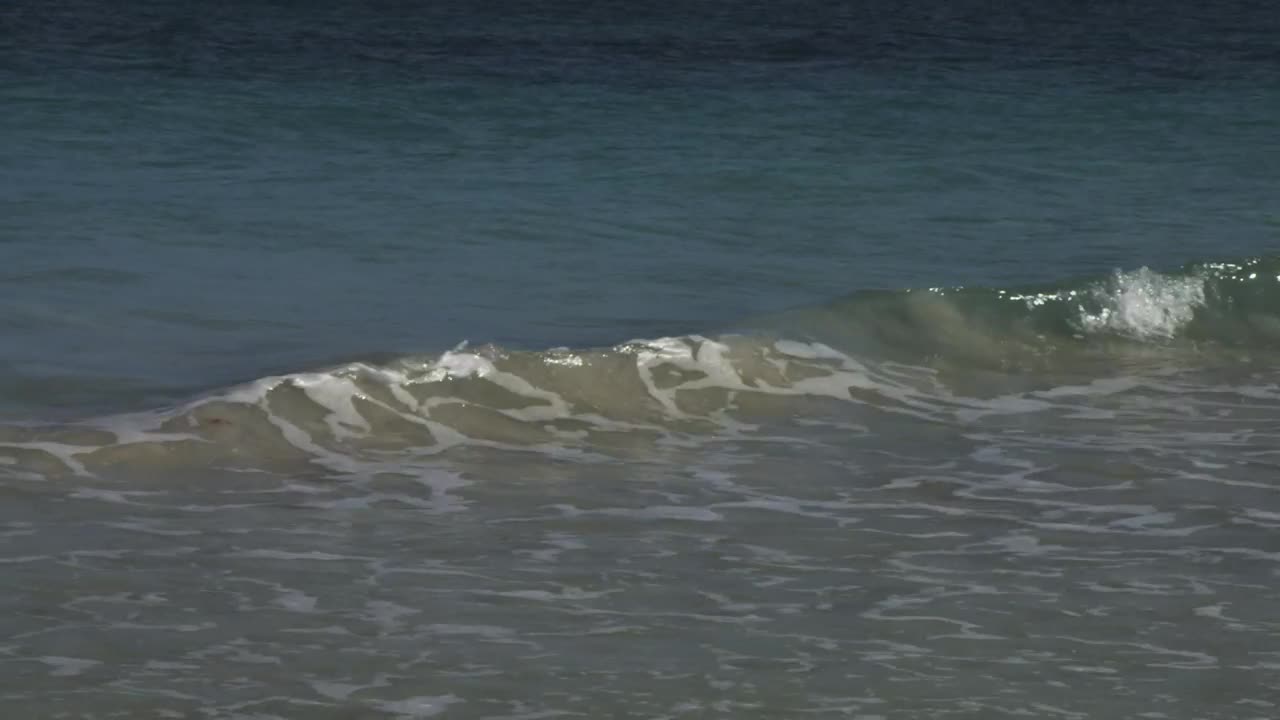 Stock Video Gentle Waves On Tulum Beach Live Wallpaper For PC - Free Download