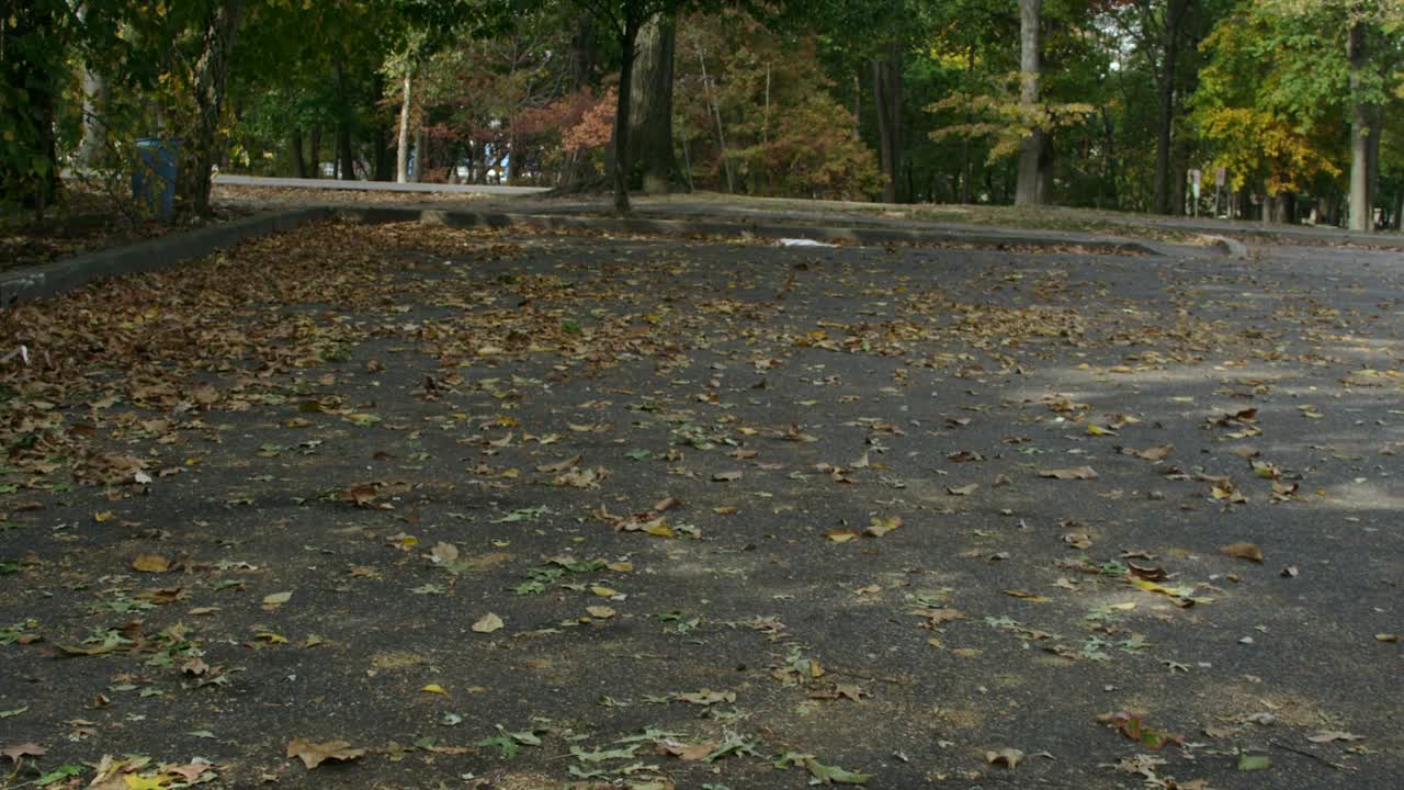 Video Stock Car Parking Under A Tree Live Wallpaper For PC - Free Download