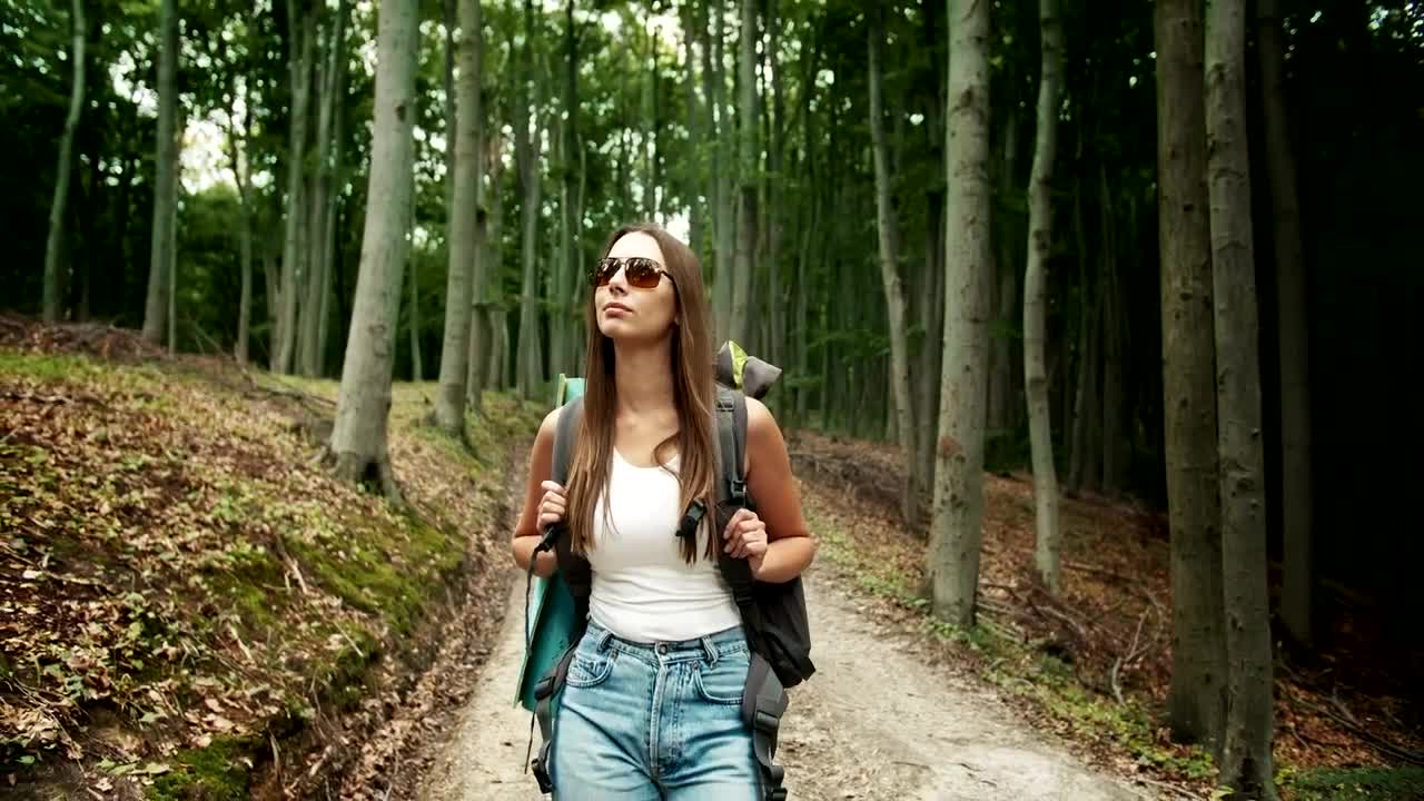 Stock Video Female Backpacker Touring A Forest Live Wallpaper For PC - Free Download