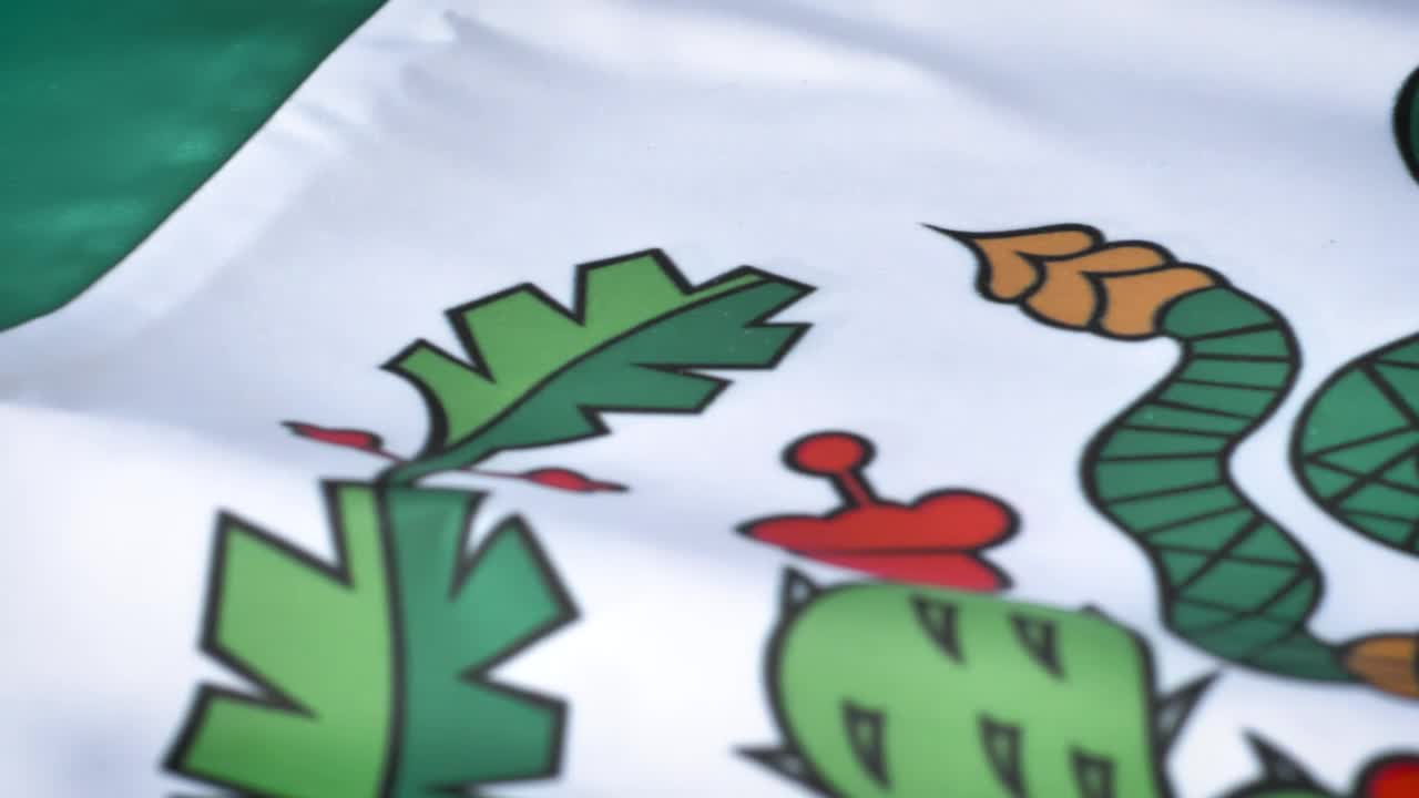 Stock Video Detailed View To The Flag Of Mexico Live Wallpaper For PC - Free Download
