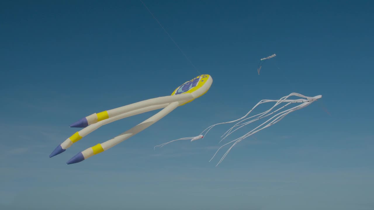 Stock Video Octopus Kites Against A Blue Sky Live Wallpaper - Free Download