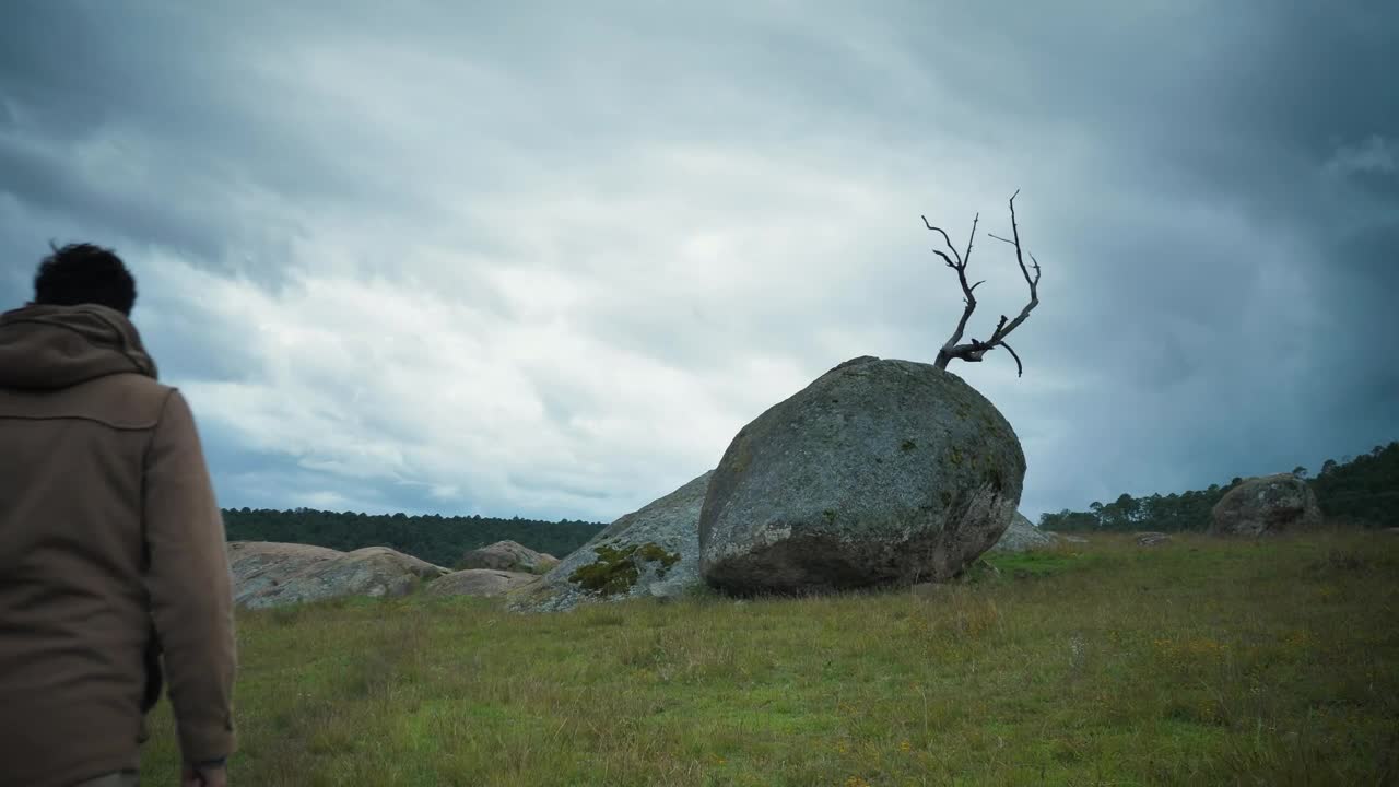 Stock Video Man Taking Pictures Of A Big Stone With His Phon Animated Wallpaper - Free Download